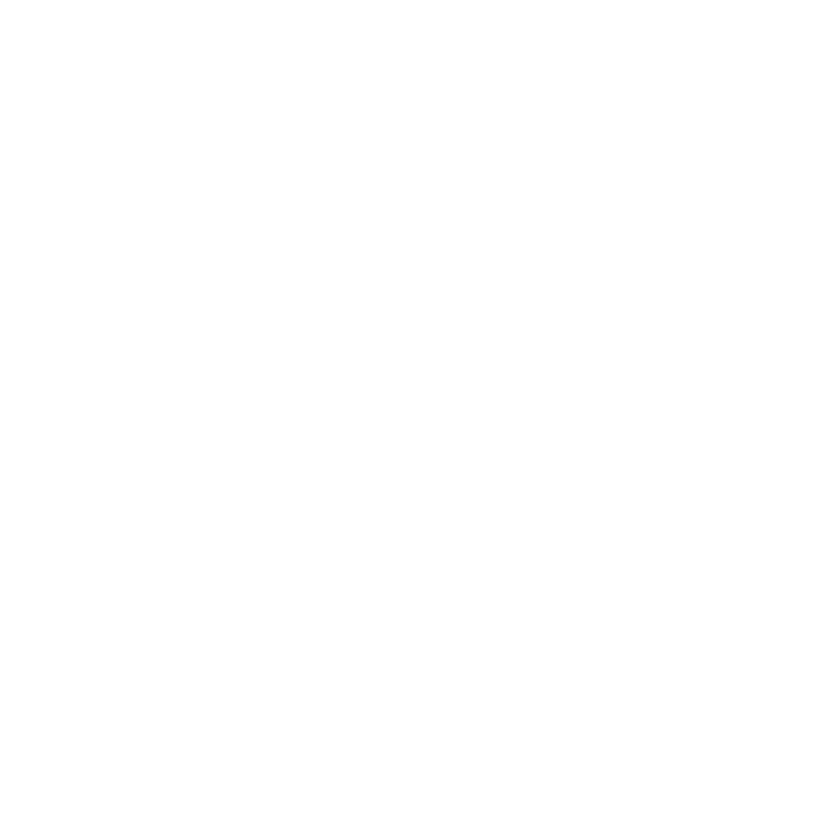 Regnum Investments Pvt Ltd
